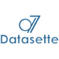 Datasette S.r.l. Logo
