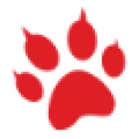 CyberTiger Ltd. Logo