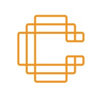Carsurin Logo