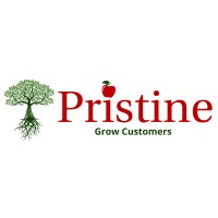 Pristine Infotech, Inc. Logo