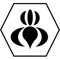 Black Iris Branding Logo