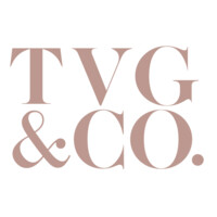 The Villani Group Logo