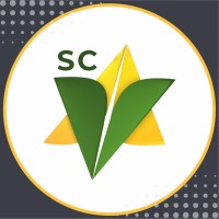 Distribuidora DEC Vale SC Logo
