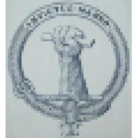 Arm-Strong Consulting Logo