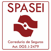 SPASEI Logo
