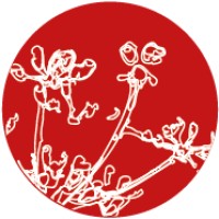 Isaq Logo