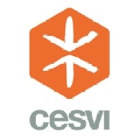 CESVI Logo