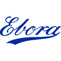 Ebora Process Automation Logo