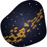Simitless Logo