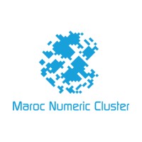 Maroc Numeric Cluster Logo