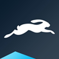 Wonderland Business Design (part of leapFORWARD) Logo