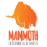 Mammoth Recruitment and HR Services Ltd Logo