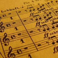 Verschiedene Auftraggeber Logo