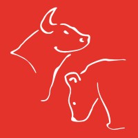 FEP Finance Club Logo
