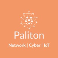 Paliton Networks Logo
