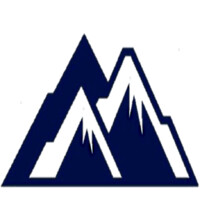 Alta View Insights Logo