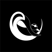 Winchester City Penguins Swimming Club Logo