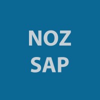 NOZ Consulting LLC Logo