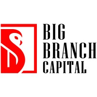 Big Branch Capital LLC Logo