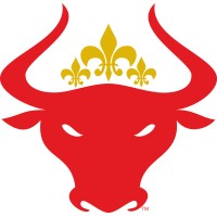 NolaBulls, LLC Logo