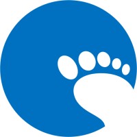 Data Footprint Logo