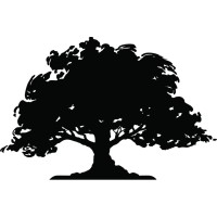 Copper Shade Strategy, LLC Logo