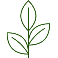 Shavano Capital Partners Logo