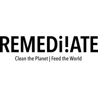 Remediiate Logo