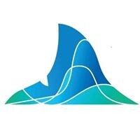 StatShark Logo