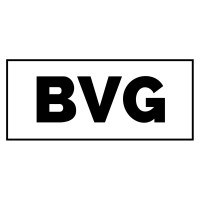 The BV Group Logo