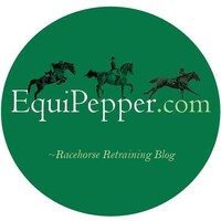 EquiPepper Logo