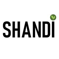 Shandi Global Logo