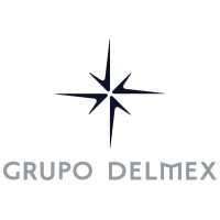 Delmex Group Logo