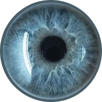 Iris Complex Logo