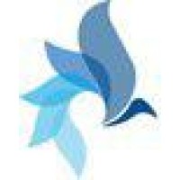 Skyblue International Logo