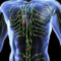 Lymphatic Care Specialists, LLC Logo