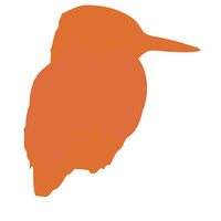 Kingfisher Coaching Logo