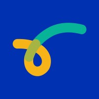 Salto Network Logo