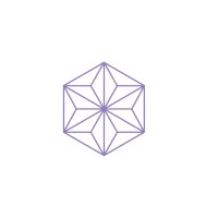 Lumina Vein & Aesthetic Institute Logo