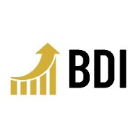 BI Data Intelligence (BDI) Limited Logo