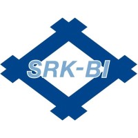 Sumiriko do Brasil Rubber Industry LTDA Logo