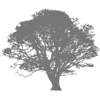 Aesop Partners Logo