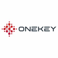 One Key Systems Logo