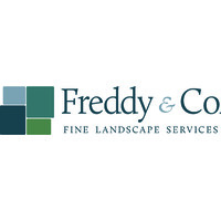Freddy & Co. Logo
