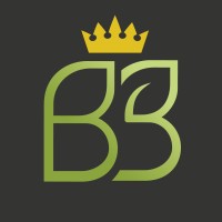 Blessing Broker Logo
