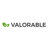 VALORABLE Logo