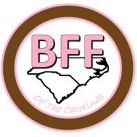 Brighter Future Foundation of the Carolinas Logo