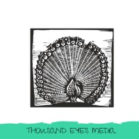 Thousand Eyes Media Logo