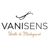 VANISENS Logo