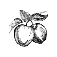 Johnny Appleseed Orchards Logo